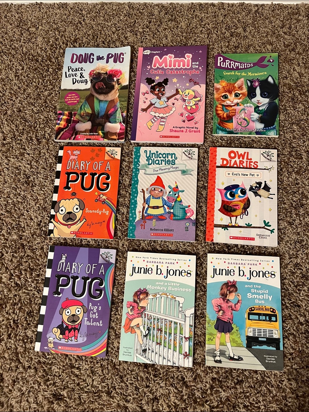 Lot of Children's Book — Diary of a Pug, Junie B. Jones, Unicorn Diaries,etc